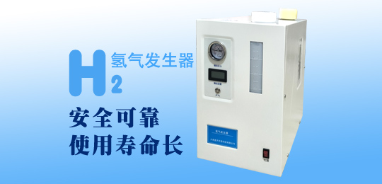 LTA氢气发生器 LTA氢气发生器
