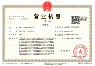 大连蓝天中意科技有限公司