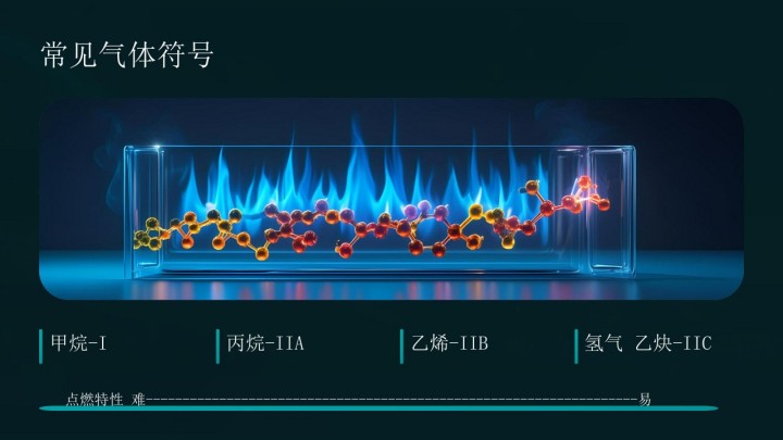 1763004716204501.jpg 防爆气相色谱仪相关知识介绍_21(1).jpg